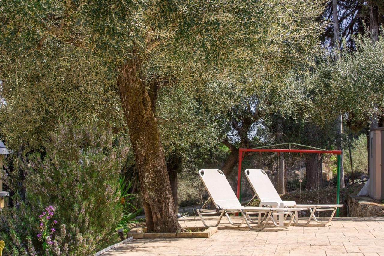 Olive Grove Poolside Apartments 贝尼蔡斯 外观 照片