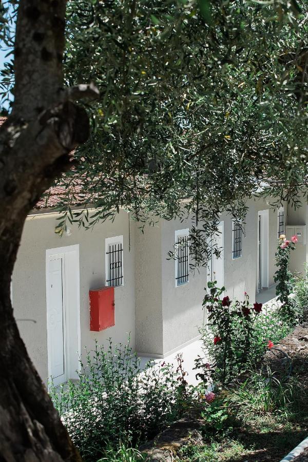 Olive Grove Poolside Apartments 贝尼蔡斯 外观 照片