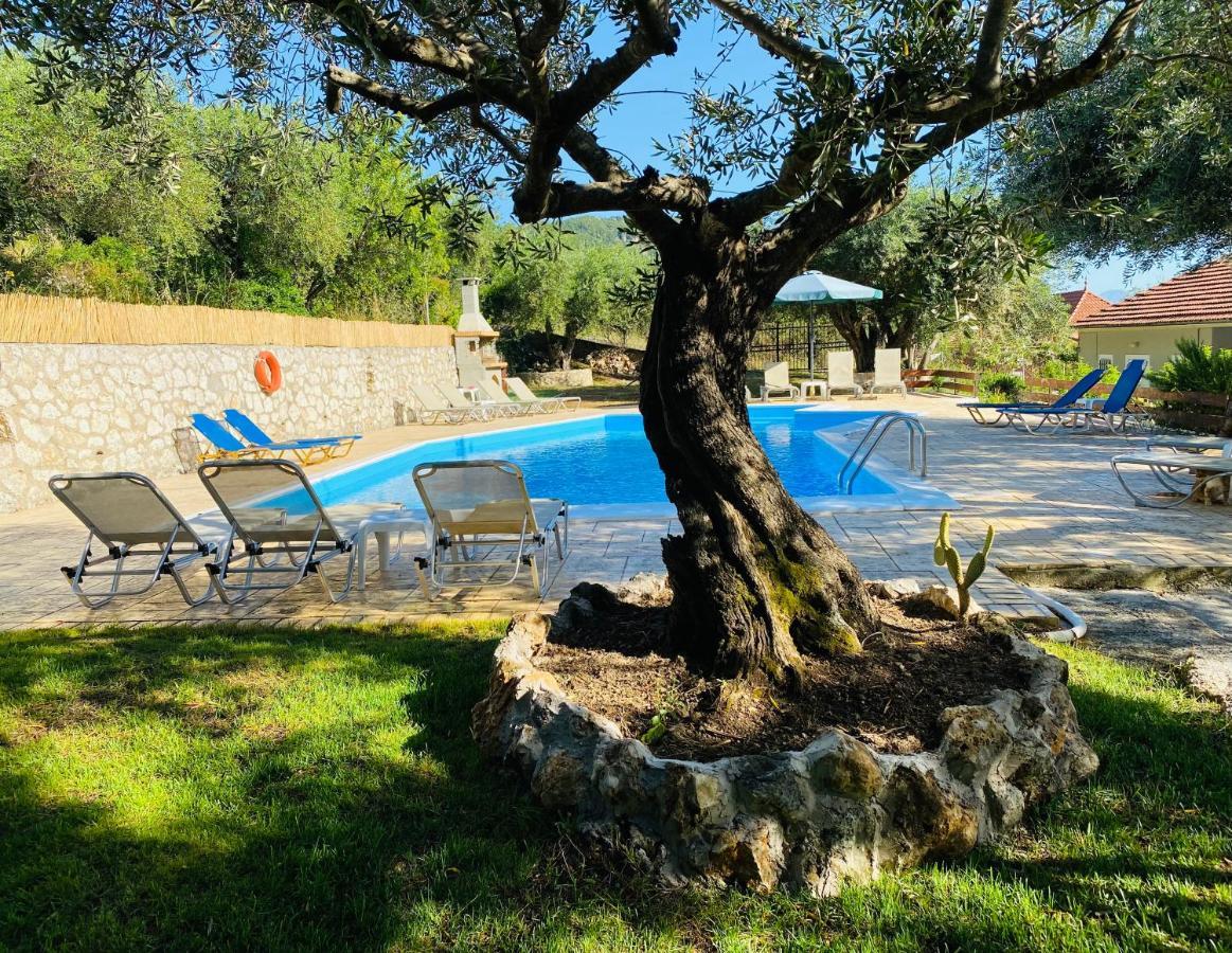 Olive Grove Poolside Apartments 贝尼蔡斯 外观 照片